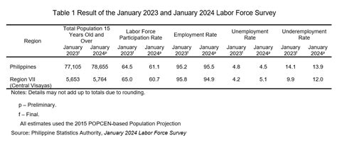 labor force meaning tagalog|Labor Force Survey .